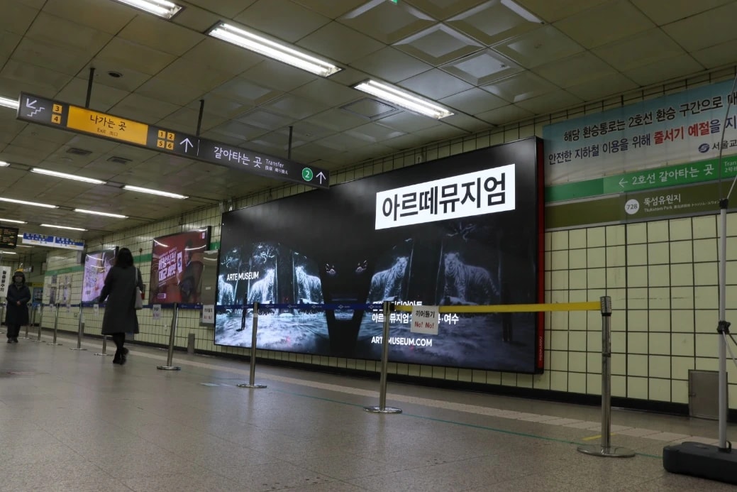 N.square 엔스퀘어 하이라이트 패키지 구성 매체 4